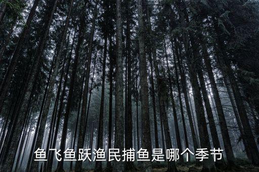 漁民捕魚一般是什么時候，魚飛魚躍漁民捕魚是哪個季節(jié)