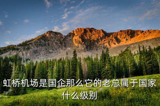 機(jī)場(chǎng)董事長(zhǎng)什么級(jí)別，虹橋機(jī)場(chǎng)是國(guó)企那么它的老總屬于國(guó)家什么級(jí)別