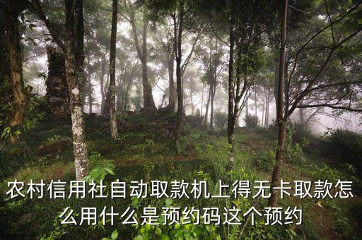 農(nóng)行預約碼是什么，農(nóng)商銀行預約取款預約碼是什么