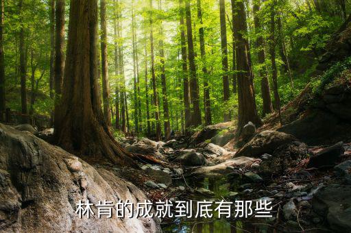 林肯的業(yè)績有什么，華盛頓林肯共同歷史功績