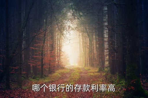 錢(qián)存什么銀行利息高，哪個(gè)銀行的存款利率高