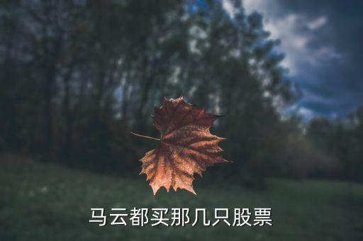 馬云買(mǎi)了什么股票，馬云買(mǎi)了什么醫(yī)療器械股