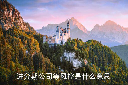 好期貸風(fēng)控審核是什么，進(jìn)分期公司等風(fēng)控是什么意思