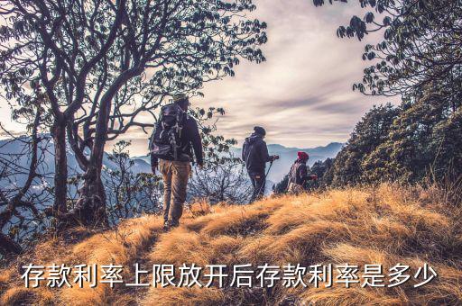 存款上限放開(kāi)什么時(shí)候，各大商業(yè)銀行放開(kāi)存款上限有什么政策