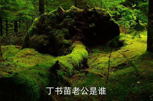丁書苗和劉志軍什么關(guān)系，丁羽心和劉志軍認(rèn)識10年 花多少錢都不吝嗇