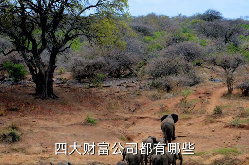 重啤集團(tuán)還有什么資產(chǎn)，四大財富公司都有哪些