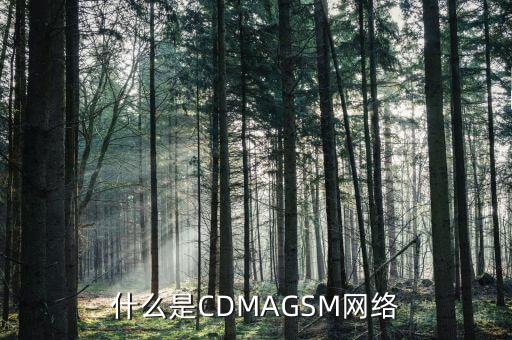 電信cdma是什么網(wǎng)絡(luò)，cdma是什么網(wǎng)絡(luò)