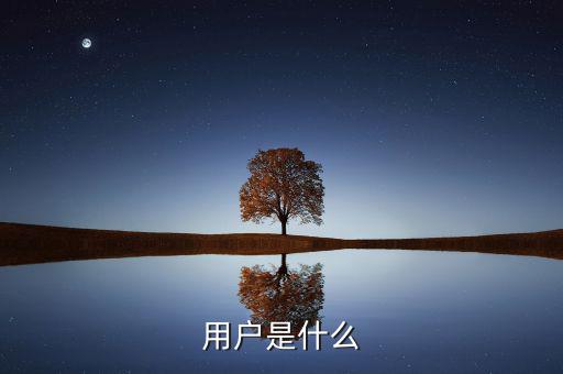 百發(fā)碼用戶是什么，用戶是什么