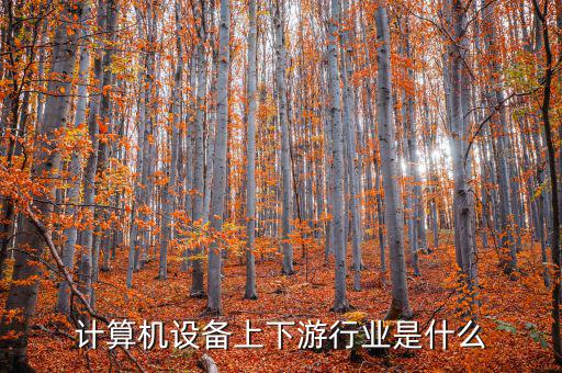 什么是計(jì)算機(jī)上游行業(yè)，軟件行業(yè)的上下游行業(yè)有哪些