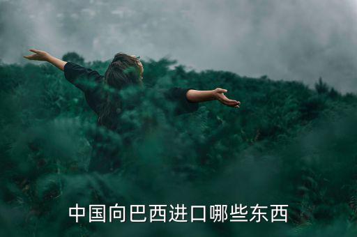 美國從巴西進口什么，中國向巴西進口哪些東西