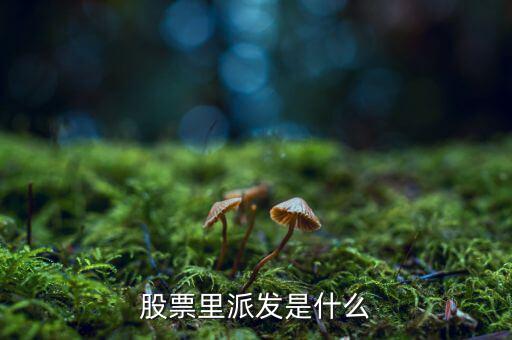 什么是股票派發(fā)，股票什么叫派發(fā)