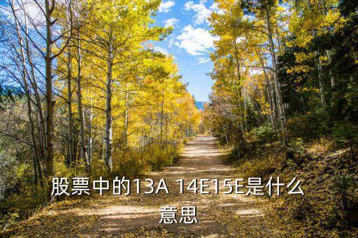 市盈率13a什么意思，財(cái)務(wù)報(bào)表中13A 14E 是什么意思