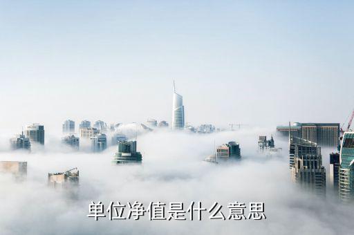 單位凈值是什么意思，單位凈值是什么意思