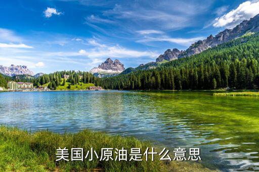 美國原油是什么意思，看盤上的美國原油0102什么意思