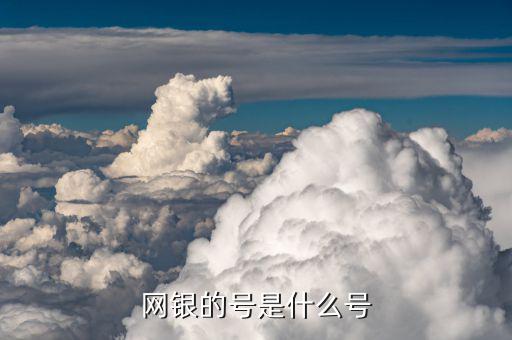民生網(wǎng)銀客戶號是什么，網(wǎng)銀的號是什么號