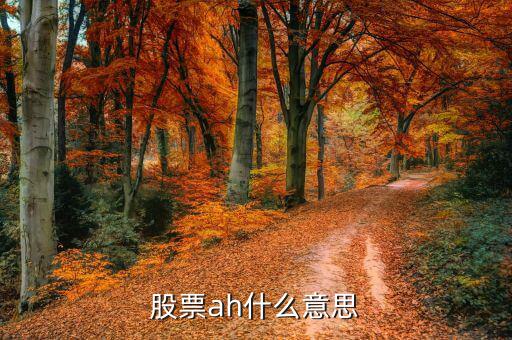 股票ah是什么意思，股票ah什么意思