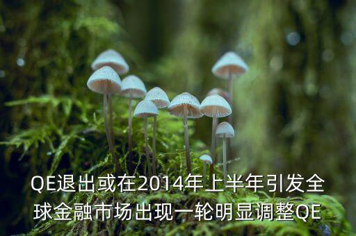 QE退出或在2014年上半年引發(fā)全球金融市場出現一輪明顯調整QE