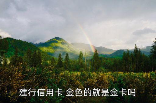 建設(shè)銀行信用卡什么卡種是金卡，我申請(qǐng)建設(shè)銀行的信用卡我申請(qǐng)的是金卡審核通過了上面寫的卡