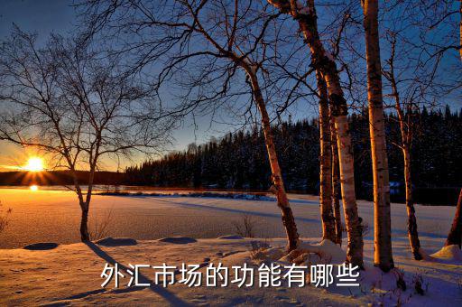 外匯有什么用，外匯市場的功能有哪些