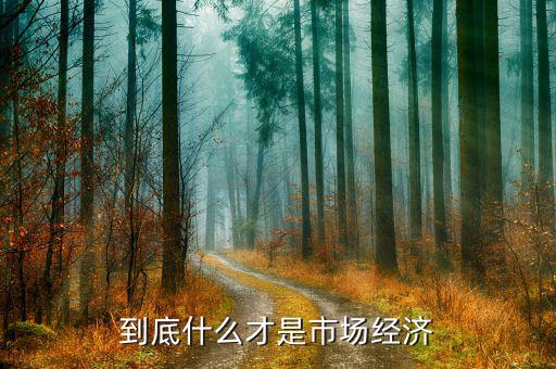 什么是市場經(jīng)濟，什么是市場經(jīng)濟