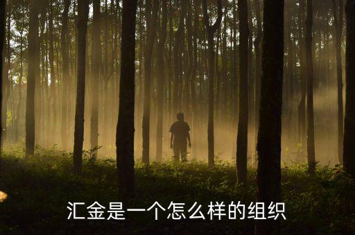 中央?yún)R金干什么的，匯金是一個(gè)怎么樣的組織