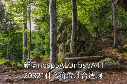 久遠銀海什么價位才賣，新藍nbspSALOnbspA4120821什么價位才合適啊