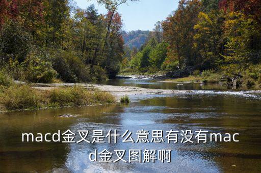 macd金叉是什么，請(qǐng)問(wèn)在外匯交易中什么是MACD金叉