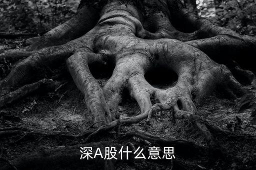 深市a股是什么，深A(yù)股什么意思
