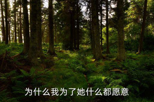 我為什么愿意，我為什么愿意為她付出呢