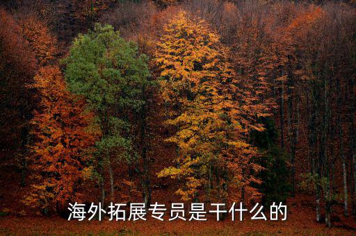外拓業(yè)務員是做什么的，海外拓展專員是干什么的