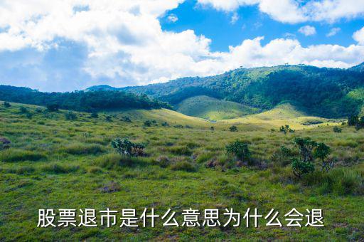 上市退出是什么意思，退市是什么意思