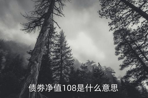 債券凈值是什么意思，債劵凈值108是什么意思