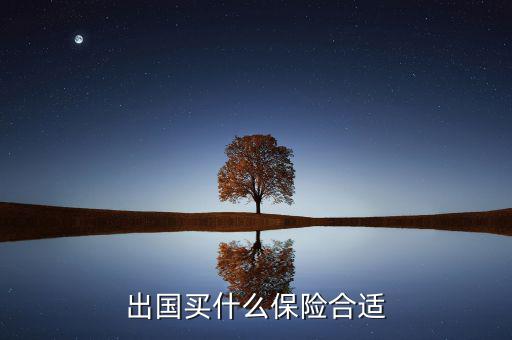 什么保險長期在國外有用，什么保險有去國外玩的保障啊