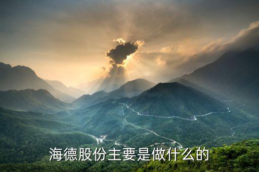 德力股份是干什么的，德國(guó)力斯集團(tuán)以前主要是做什么的啊