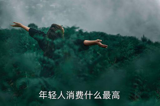 年輕人消費(fèi)最多的什么，年輕人消費(fèi)什么最高