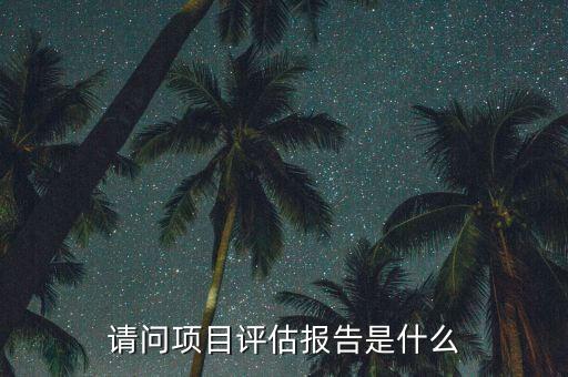 什么是評估咨詢報告，什么是投資評估報告
