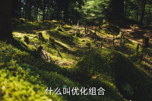 優(yōu)化重組是什么書，什么叫優(yōu)化組合