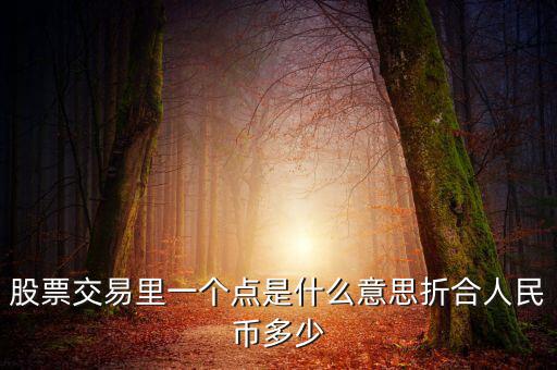 股票交易里一個點(diǎn)是什么意思折合人民幣多少