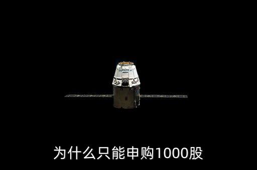 申購新股為什么只能申購1000股，為什么只能申購1000股