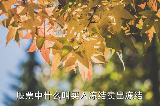 買入凍結(jié)數(shù)是什么意思，股票買入凍結(jié)是什么意思