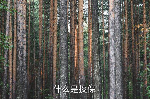 什么是投保，什么是銀行投保