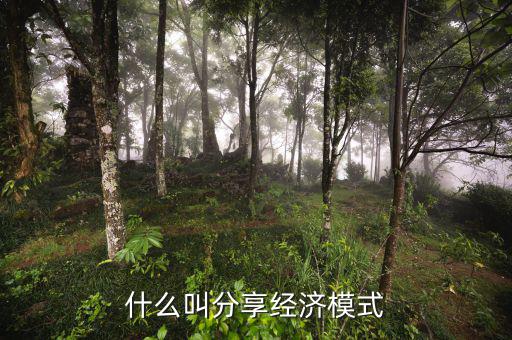 什么是分享經(jīng)濟，通俗講什么是分享經(jīng)濟