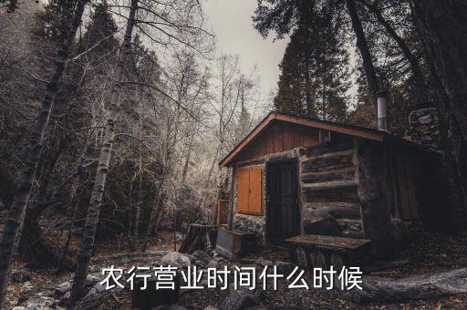 農(nóng)行什么時候上班，農(nóng)行上班時間