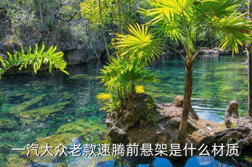 速騰懸掛是什么材質(zhì)，速騰前懸架下擺臂是什么材質(zhì)