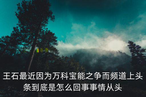 王石現(xiàn)在忙什么，王石現(xiàn)在在干什么