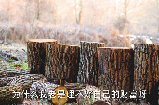 財(cái)富為什么不好說(shuō)說(shuō)理由，我?guī)蛣e人回答問(wèn)題為什么說(shuō)財(cái)富不足
