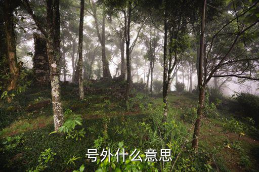基金號外是什么意思，號外是什么意思