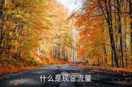 什么是現(xiàn)金流量，現(xiàn)金流量是指什么說得簡單一點謝謝