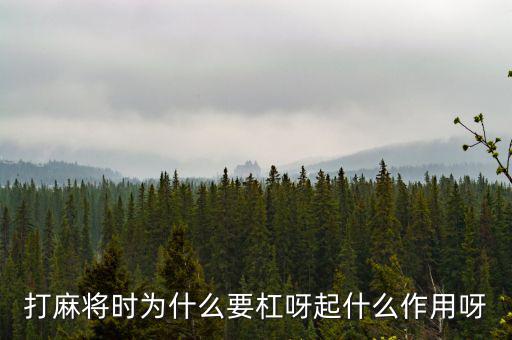 為什么要用杠桿，為什么有些杠桿要設(shè)計成費力的呢
