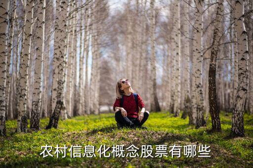 農(nóng)村富了什么股票，農(nóng)村信息化概念股票有哪些